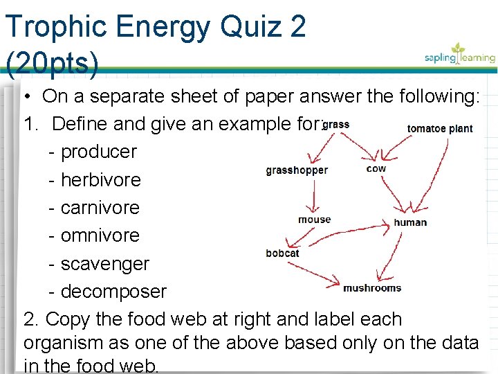 Trophic Energy Quiz 2 (20 pts) • On a separate sheet of paper answer