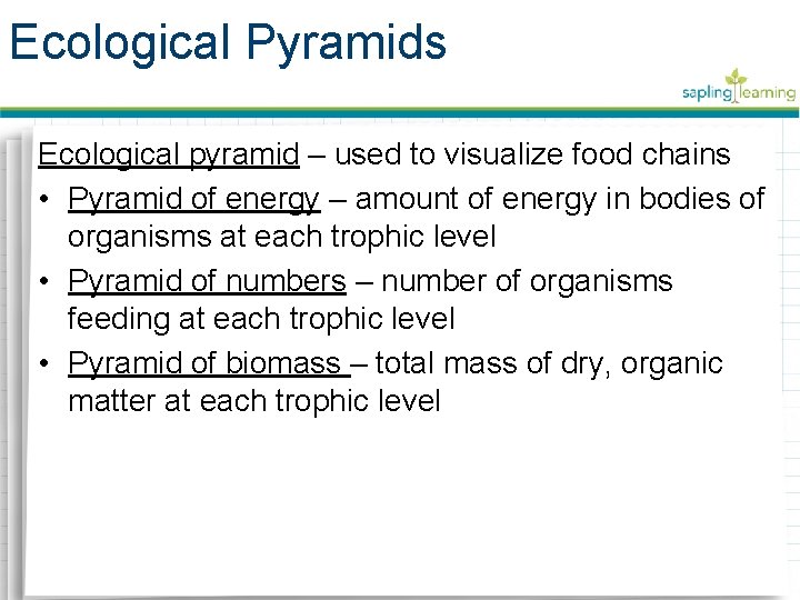 Ecological Pyramids Ecological pyramid – used to visualize food chains • Pyramid of energy