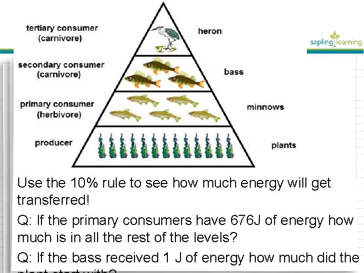 Use the 10% rule to see how much energy will get transferred! Q: If