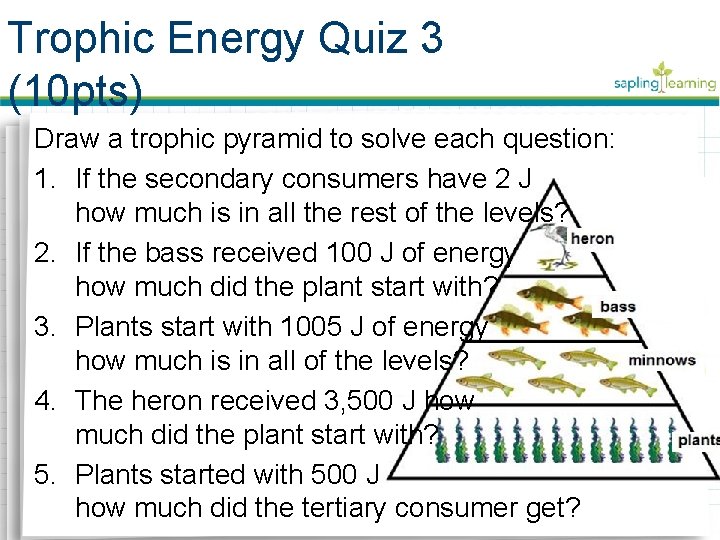 Trophic Energy Quiz 3 (10 pts) Draw a trophic pyramid to solve each question: