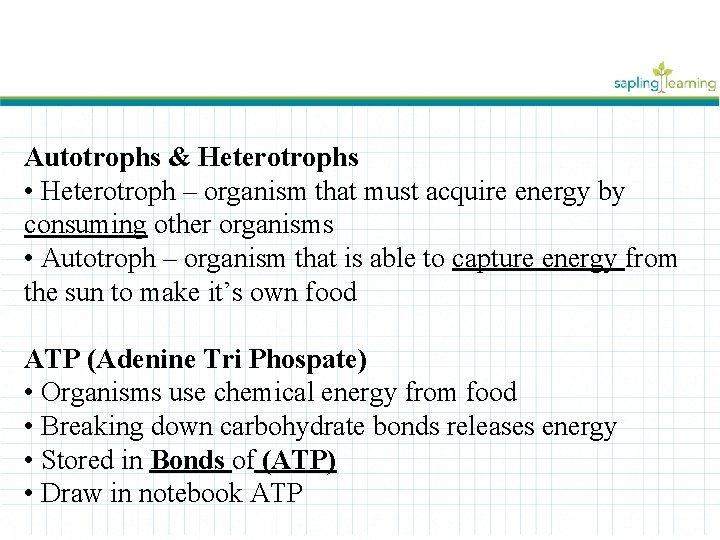 Autotrophs & Heterotrophs • Heterotroph – organism that must acquire energy by consuming other