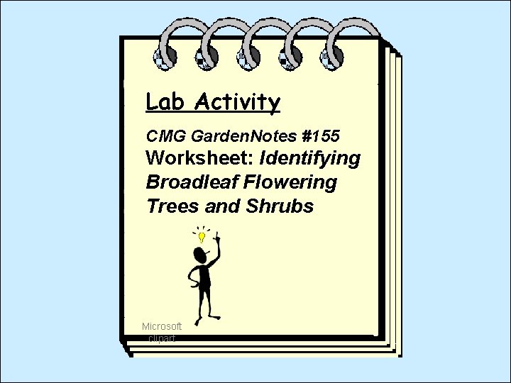 Lab Activity CMG Garden. Notes #155 Worksheet: Identifying Broadleaf Flowering Trees and Shrubs Microsoft