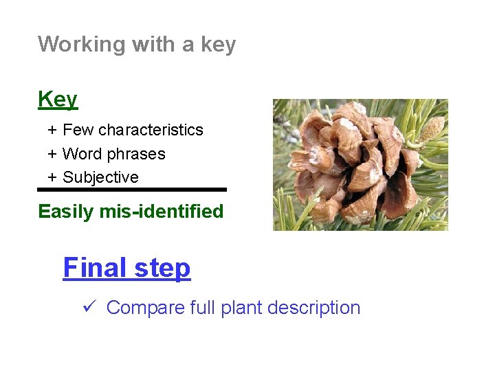 Working with a key Key + Few characteristics + Word phrases + Subjective Easily