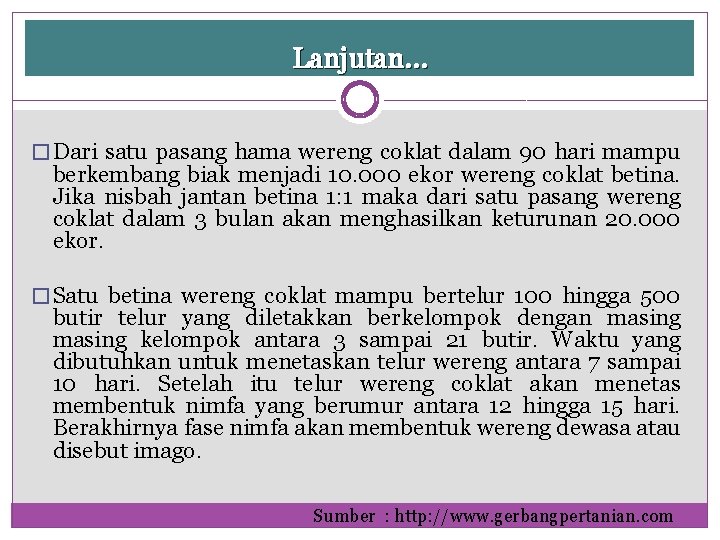 Lanjutan… � Dari satu pasang hama wereng coklat dalam 90 hari mampu berkembang biak