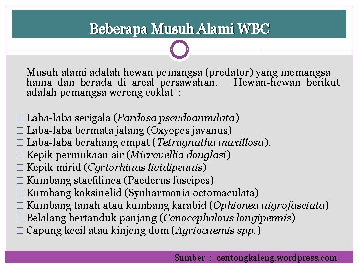 Beberapa Musuh Alami WBC Musuh alami adalah hewan pemangsa (predator) yang memangsa hama dan