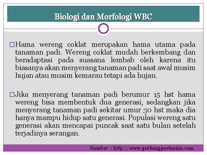 Biologi dan Morfologi WBC �Hama wereng coklat merupakan hama utama pada tanaman padi. Wereng