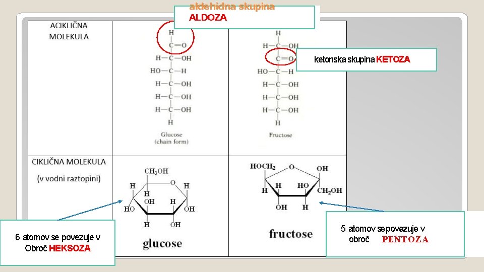 aldehidna skupina ALDOZA ketonska skupina KETOZA 6 atomov se povezuje v Obroč HEKSOZA 5