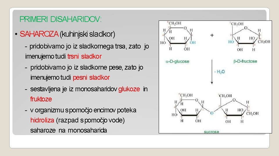PRIMERI DISAHARIDOV: • SAHAROZA (kuhinjski sladkor) - pridobivamo jo iz sladkornega trsa, zato jo