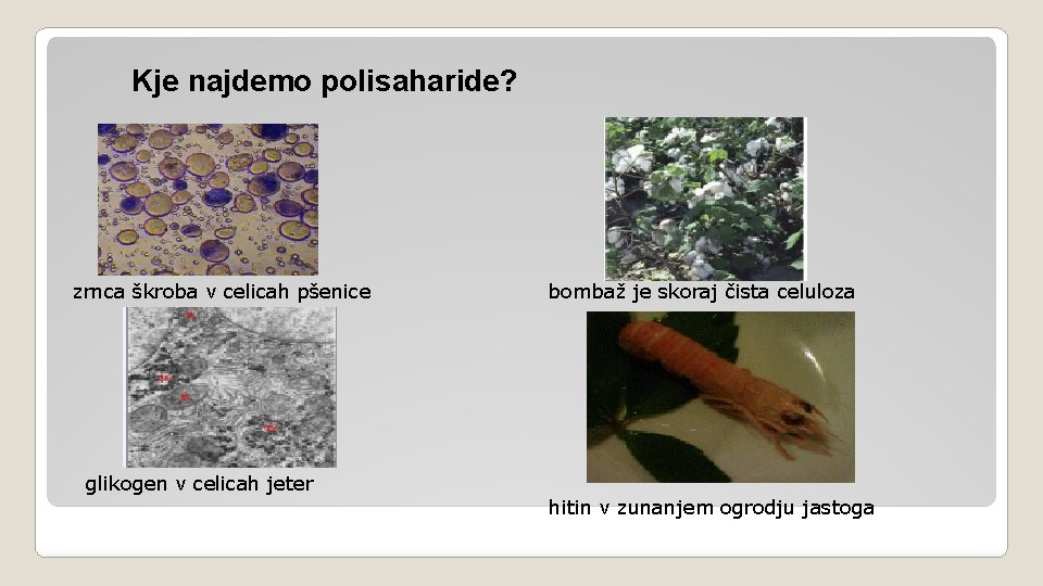 Kje najdemo polisaharide? zrnca škroba v celicah pšenice glikogen v celicah jeter bombaž je