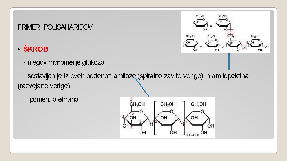 PRIMERI POLISAHARIDOV • ŠKROB - njegov monomer je glukoza - sestavljen je iz dveh