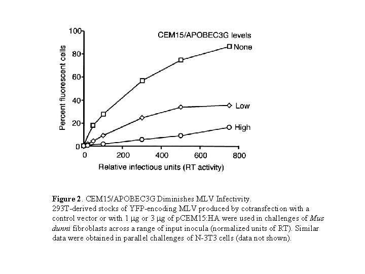 Figure 2. CEM 15/APOBEC 3 G Diminishes MLV Infectivity. 293 T-derived stocks of YFP-encoding