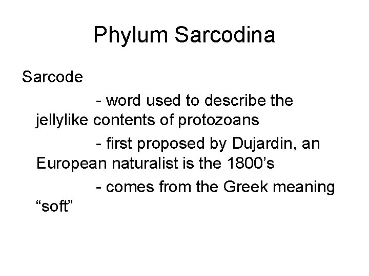 Phylum Sarcodina Sarcode - word used to describe the jellylike contents of protozoans -