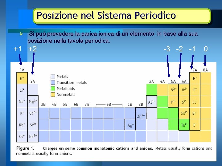 Posizione nel Sistema Periodico Ø Si può prevedere la carica ionica di un elemento