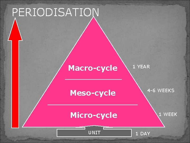 PERIODISATION Macro-cycle Meso-cycle 1 YEAR 4 -6 WEEKS Micro-cycle UNIT 1 WEEK 1 DAY