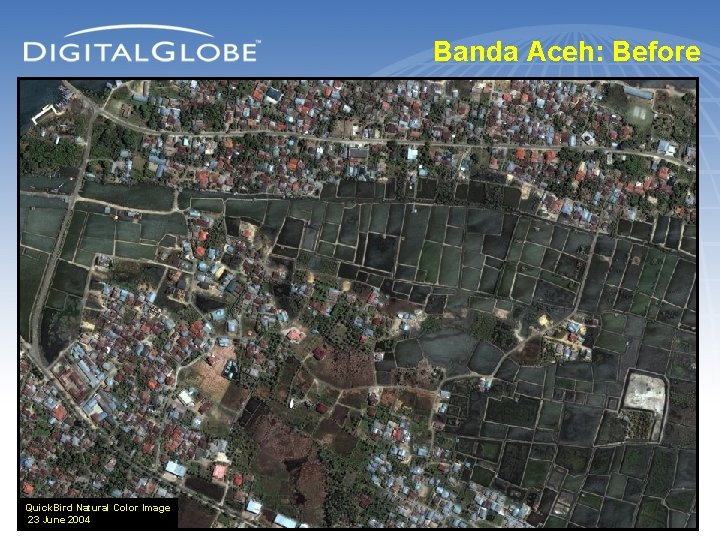 Banda Aceh: Before Quick. Bird Natural Color Image 23 June 2004 