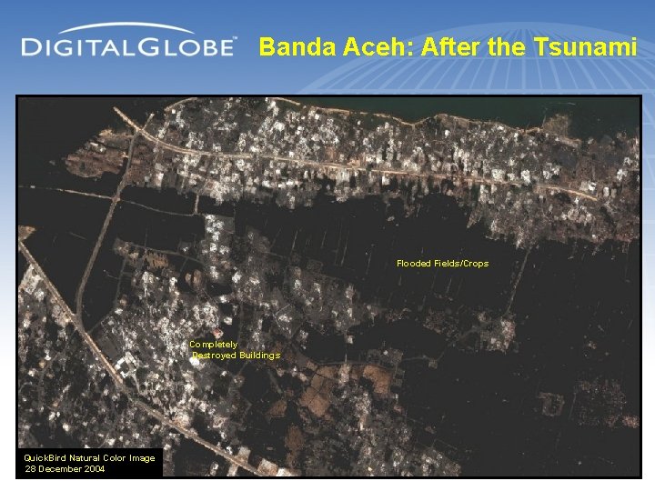 Banda Aceh: After the Tsunami Flooded Fields/Crops Completely Destroyed Buildings Quick. Bird Natural Color