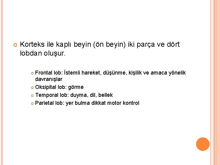  Korteks ile kaplı beyin (ön beyin) iki parça ve dört lobdan oluşur. Frontal