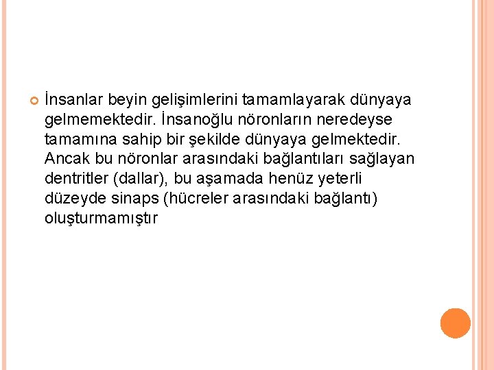  İnsanlar beyin gelişimlerini tamamlayarak dünyaya gelmemektedir. İnsanoğlu nöronların neredeyse tamamına sahip bir şekilde