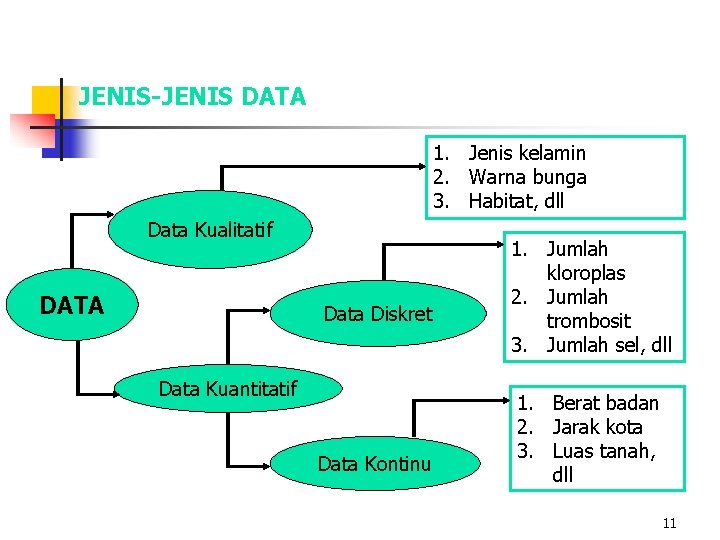 JENIS-JENIS DATA 1. Jenis kelamin 2. Warna bunga 3. Habitat, dll Data Kualitatif DATA