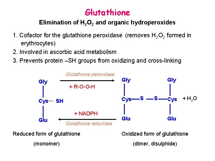 Glutathione Elimination of H 2 O 2 and organic hydroperoxides 1. Cofactor for the