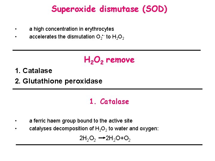 Superoxide dismutase (SOD) • • a high concentration in erythrocytes accelerates the dismutation O