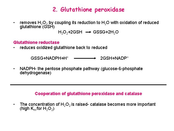 2. Glutathione peroxidase • removes H 2 O 2 by coupling its reduction to