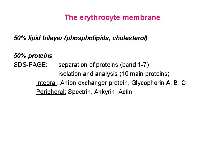 The erythrocyte membrane 50% lipid bilayer (phospholipids, cholesterol) 50% proteins SDS-PAGE: separation of proteins