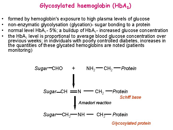 Glycosylated haemoglobin (Hb. A 1) • • formed by hemoglobin's exposure to high plasma