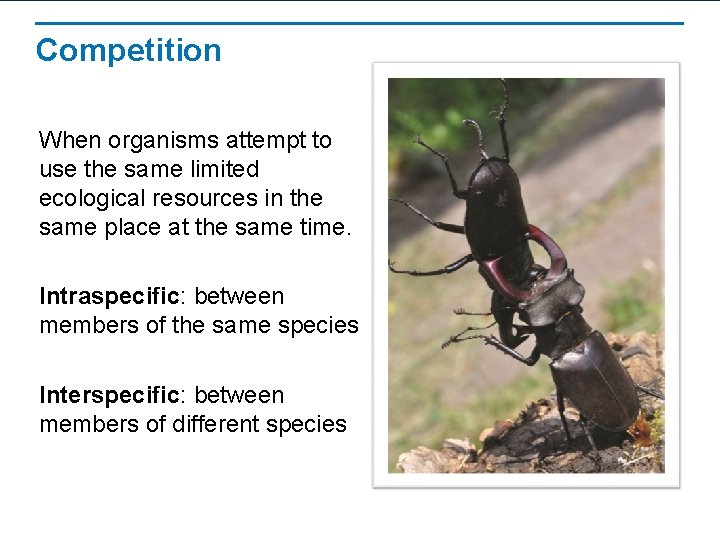 Competition When organisms attempt to use the same limited ecological resources in the same