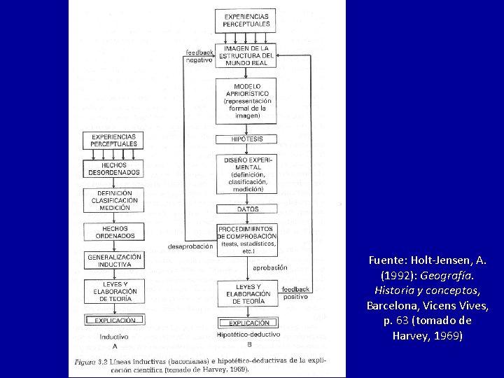Fuente: Holt-Jensen, A. (1992): Geografía. Historia y conceptos, Barcelona, Vicens Vives, p. 63 (tomado