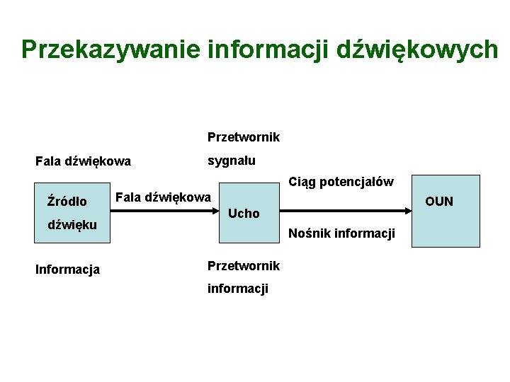 Przekazywanie informacji dźwiękowych Przetwornik Fala dźwiękowa sygnału Ciąg potencjałów Źródło dźwięku Informacja Fala dźwiękowa