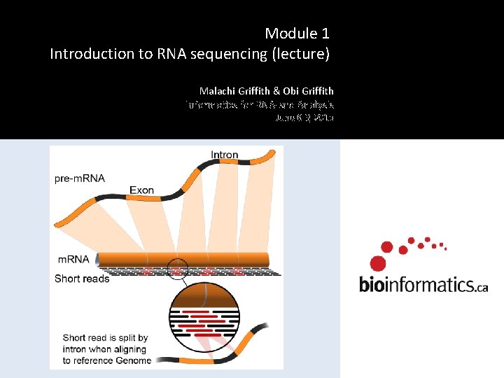 Module 1 Introduction to RNA sequencing (lecture) Malachi Griffith & Obi Griffith Informatics for
