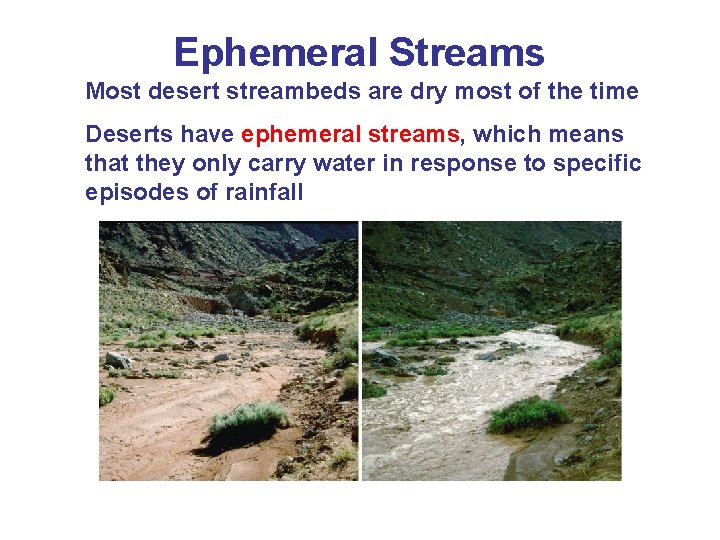 Ephemeral Streams Most desert streambeds are dry most of the time Deserts have ephemeral