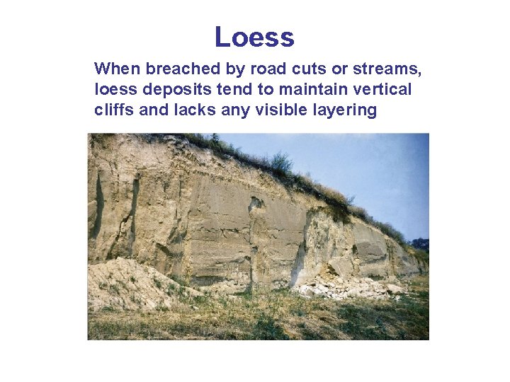 Loess When breached by road cuts or streams, loess deposits tend to maintain vertical