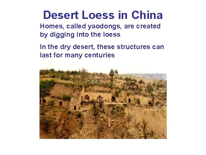 Desert Loess in China Homes, called yaodongs, are created by digging into the loess