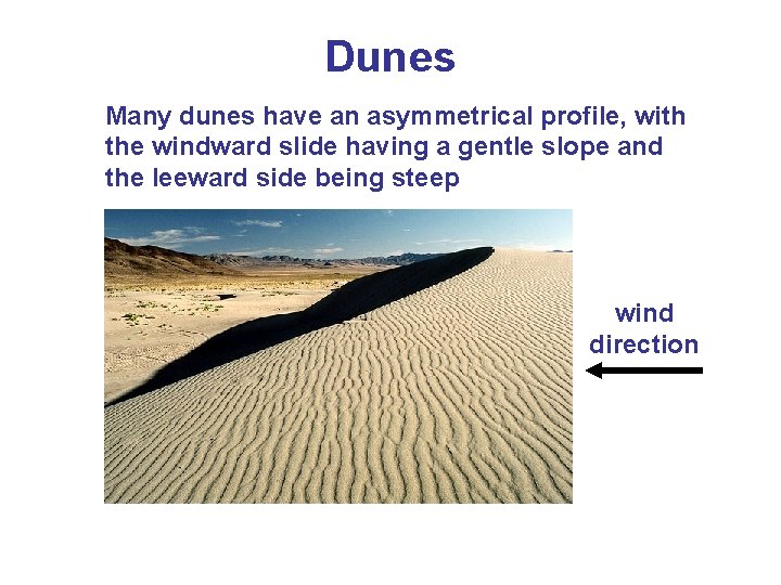 Dunes Many dunes have an asymmetrical profile, with the windward slide having a gentle