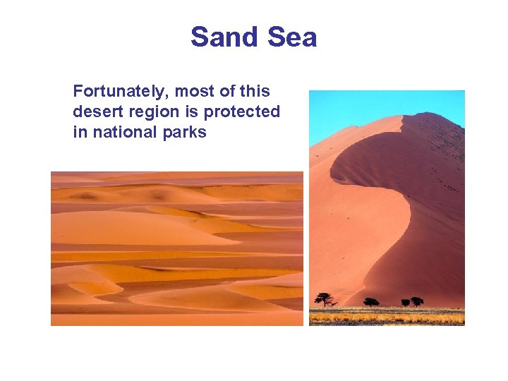 Sand Sea Fortunately, most of this desert region is protected in national parks 
