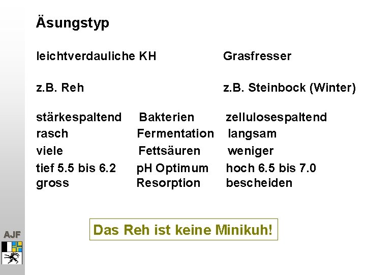 Äsungstyp leichtverdauliche KH Grasfresser z. B. Reh z. B. Steinbock (Winter) stärkespaltend rasch viele