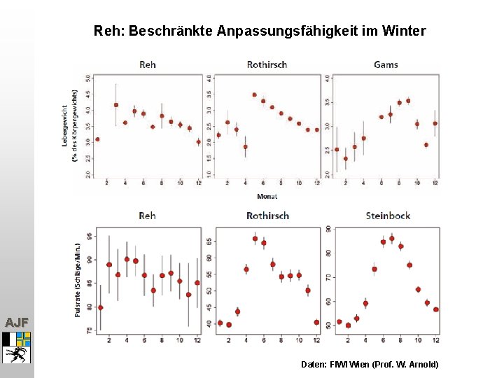 Reh: Beschränkte Anpassungsfähigkeit im Winter AJF Daten: FIWI Wien (Prof. W. Arnold) 