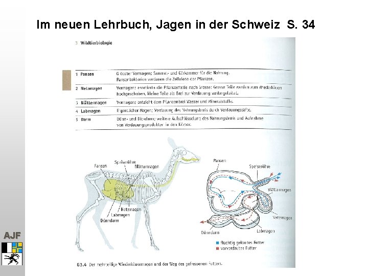 Im neuen Lehrbuch, Jagen in der Schweiz S. 34 AJF 