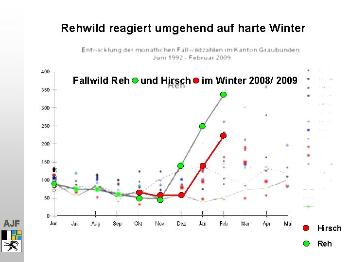 Rehwild reagiert umgehend auf harte Winter Fallwild Reh AJF und Hirsch im Winter 2008/