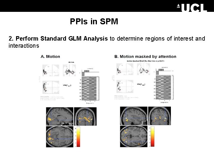 PPIs in SPM 2. Perform Standard GLM Analysis to determine regions of interest and