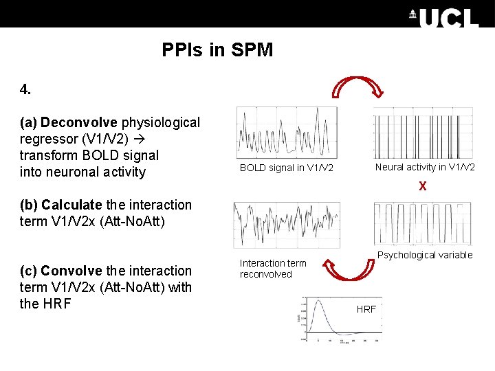 PPIs in SPM 4. (a) Deconvolve physiological regressor (V 1/V 2) transform BOLD signal