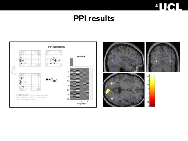 PPI results 