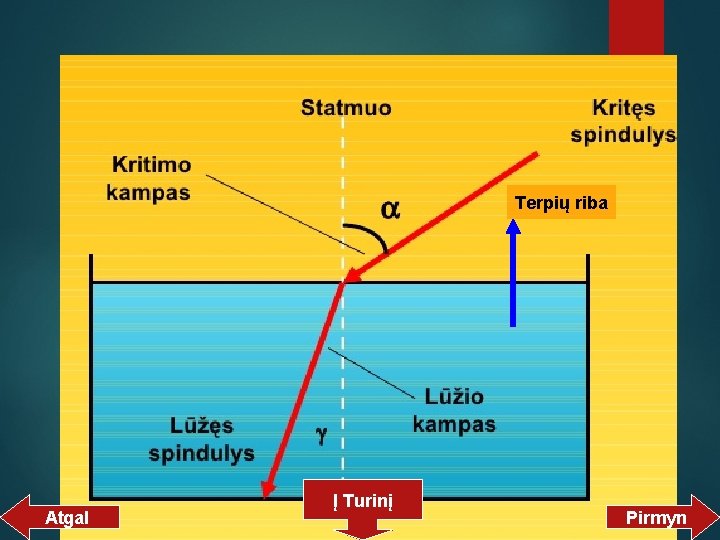 Terpių riba Atgal Į Turinį Pirmyn 