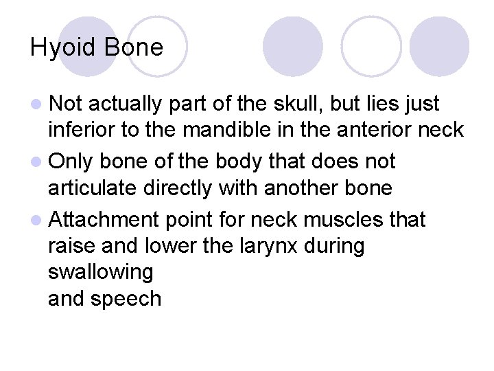 Hyoid Bone l Not actually part of the skull, but lies just inferior to