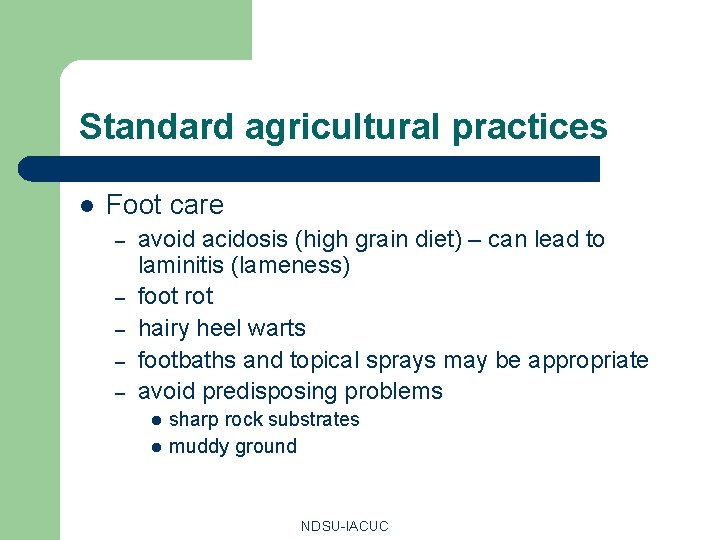 Standard agricultural practices l Foot care – – – avoid acidosis (high grain diet)