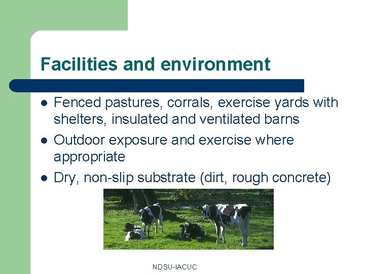 Facilities and environment l l l Fenced pastures, corrals, exercise yards with shelters, insulated