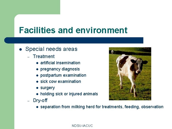 Facilities and environment l Special needs areas – Treatment l l l – artificial