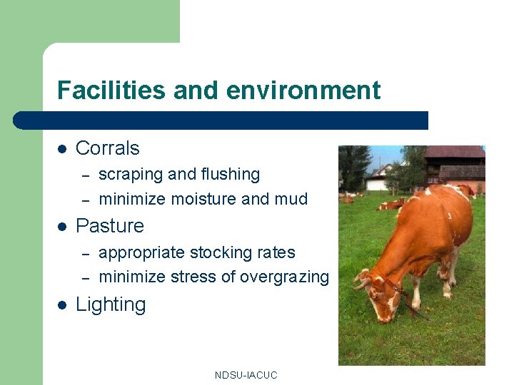 Facilities and environment l Corrals – – l Pasture – – l scraping and